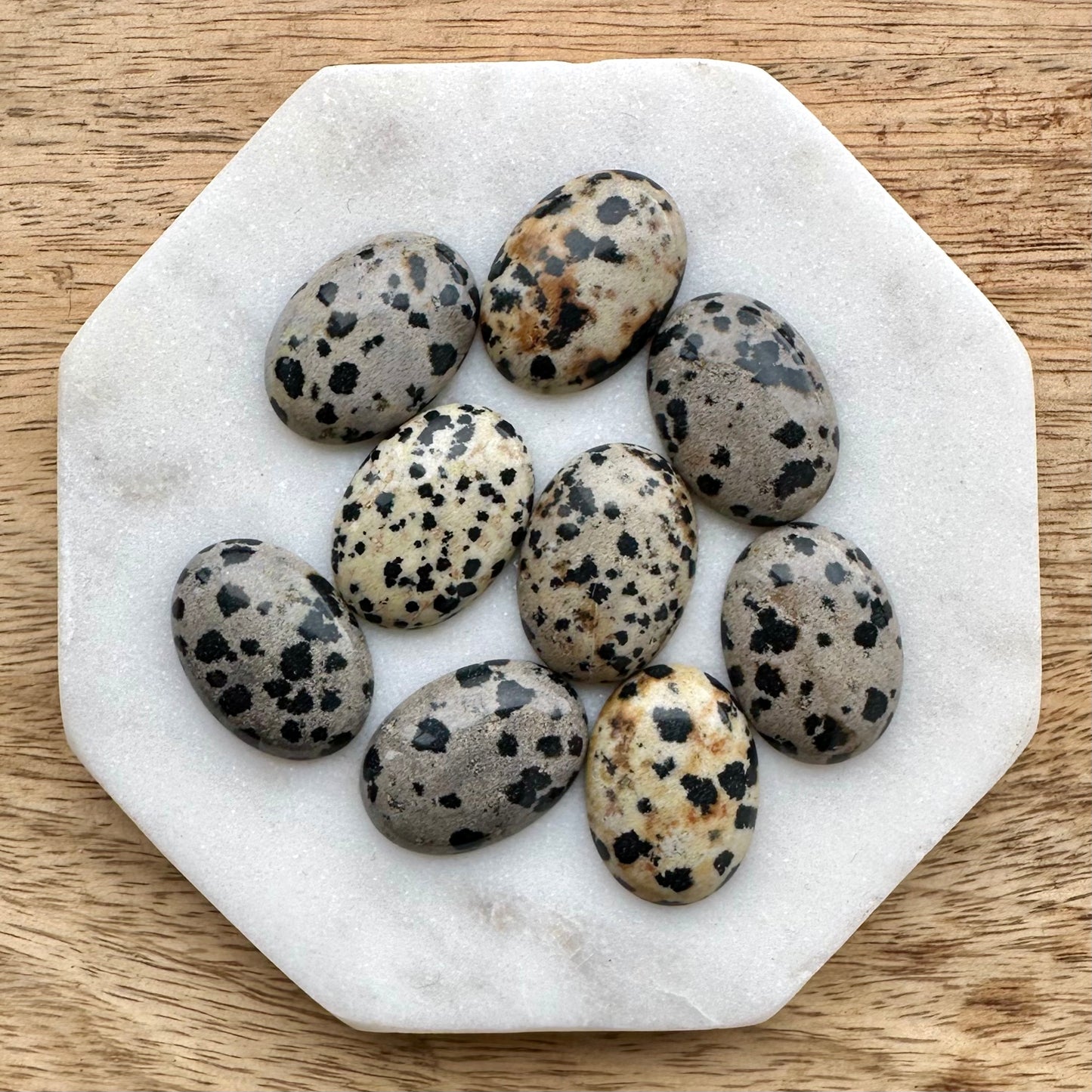 Dalmatian Jasper Statement Ring